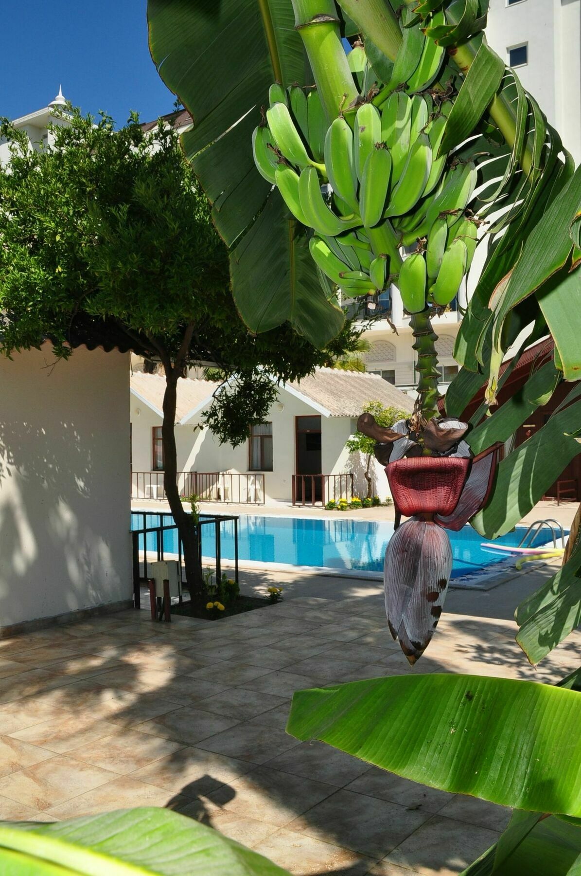 Dream Park Bungalow Titreyengol Exterior foto